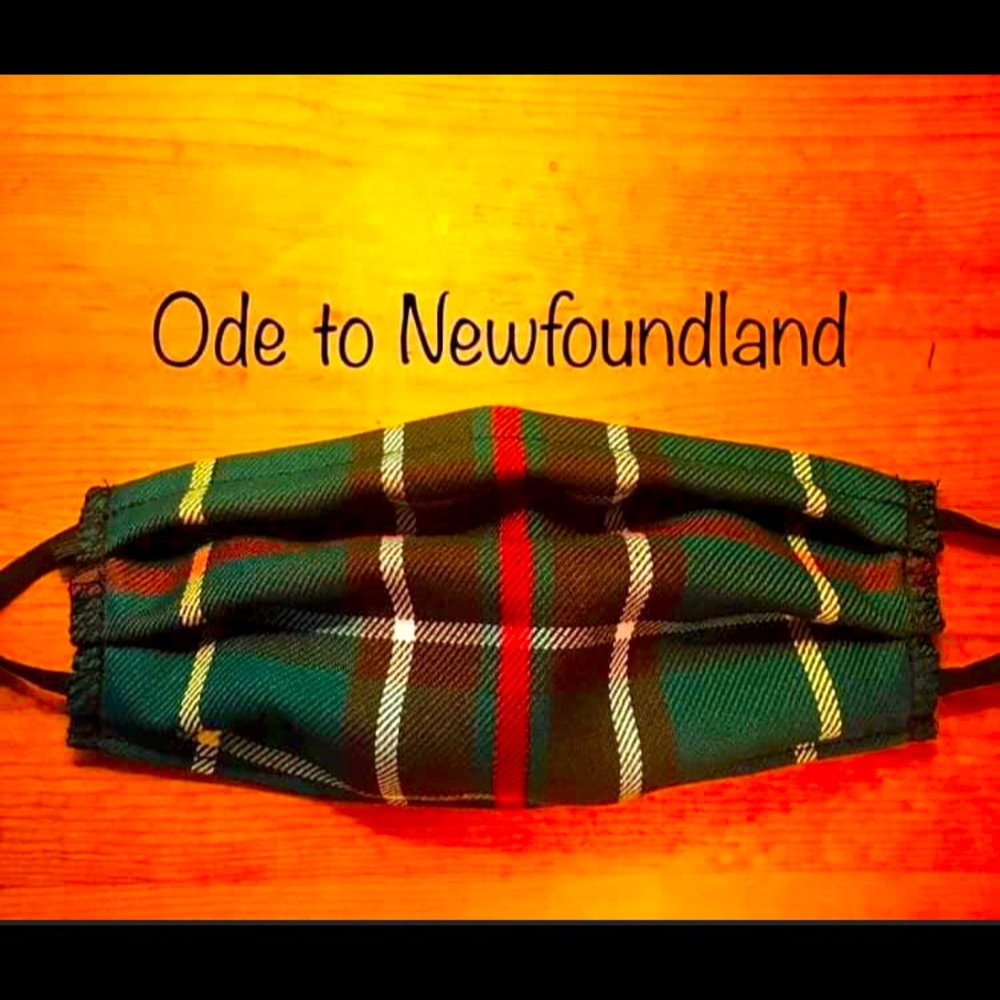 Brand new, Newfoundland, tartan plaid, triple layer mask.